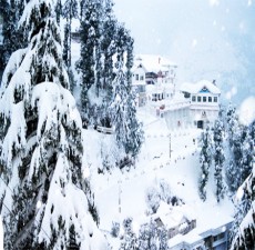 Mussoorie Tour Packages 