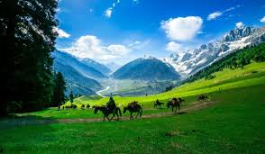 Exotic Kashmir tour package
