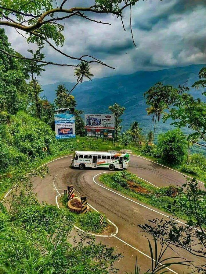 Wildlife Tour